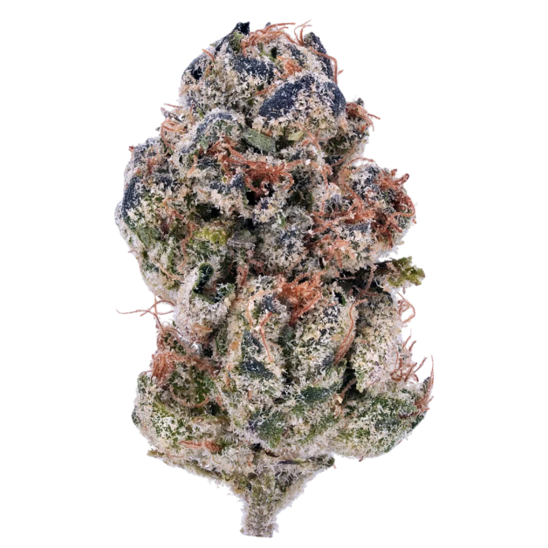 Blueberry Gumbo THCA Hemp Flower