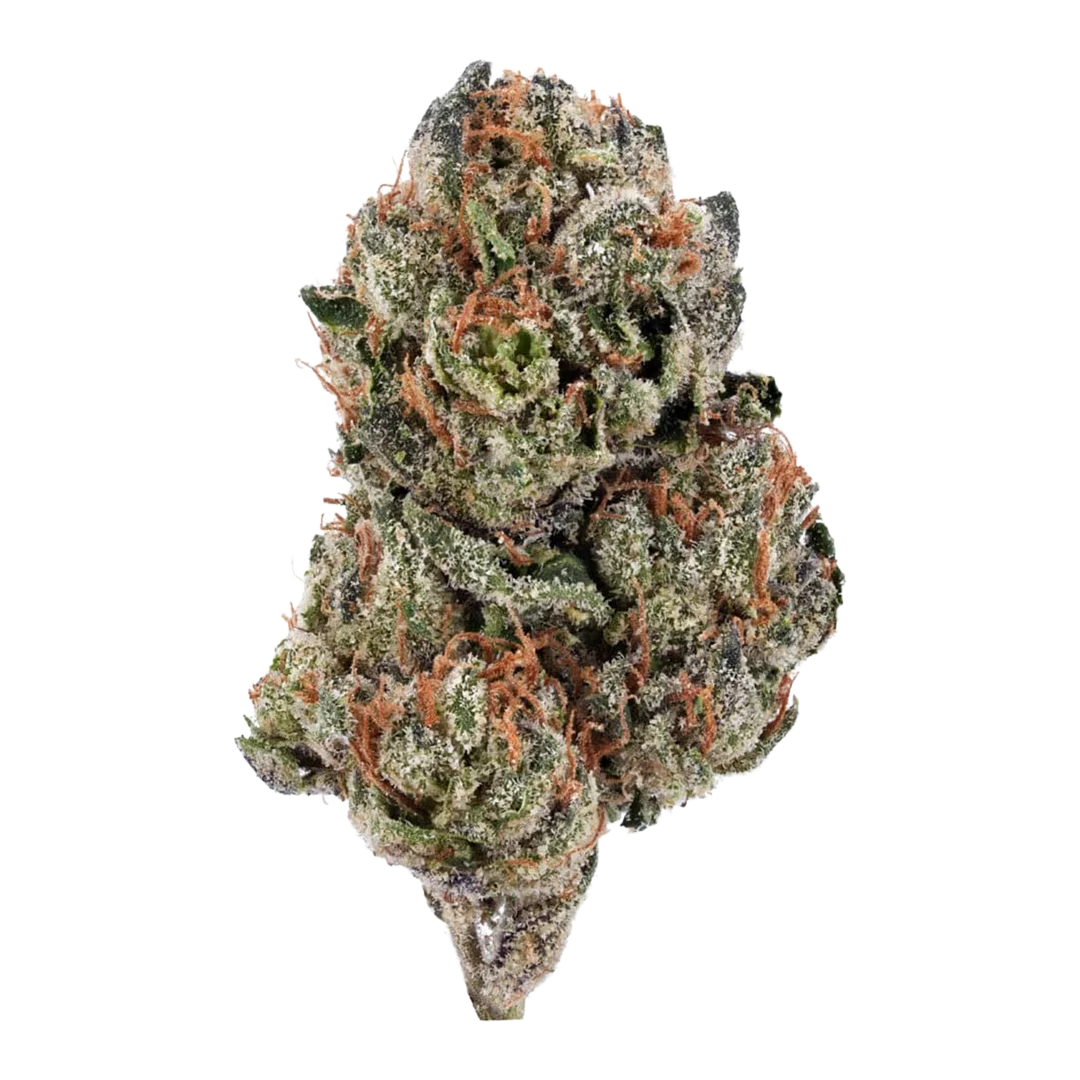 Cherry Pie THCA hemp flower indoor grown